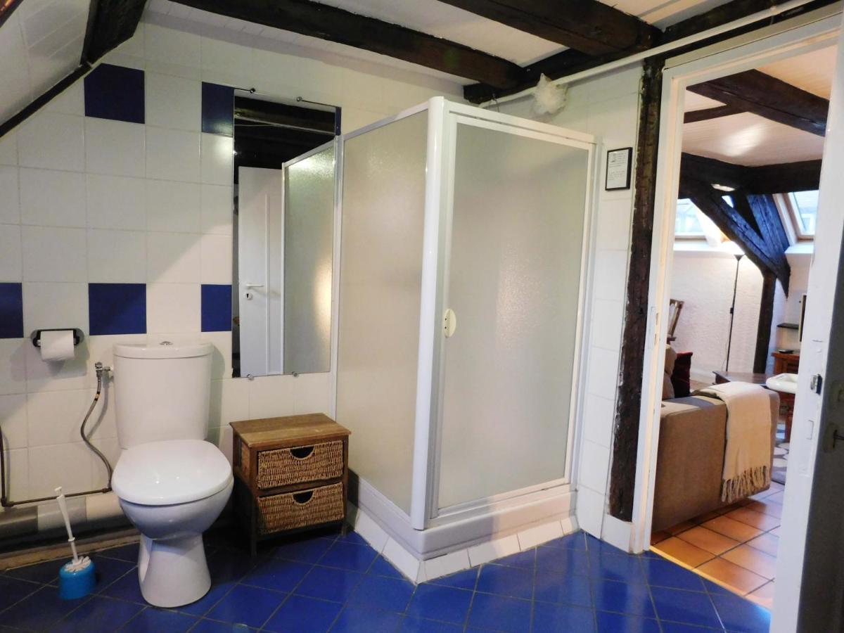 Appartement Typique Et Cosy A Deux Pas De La Cathedrale สตราสบูร์ก ภายนอก รูปภาพ