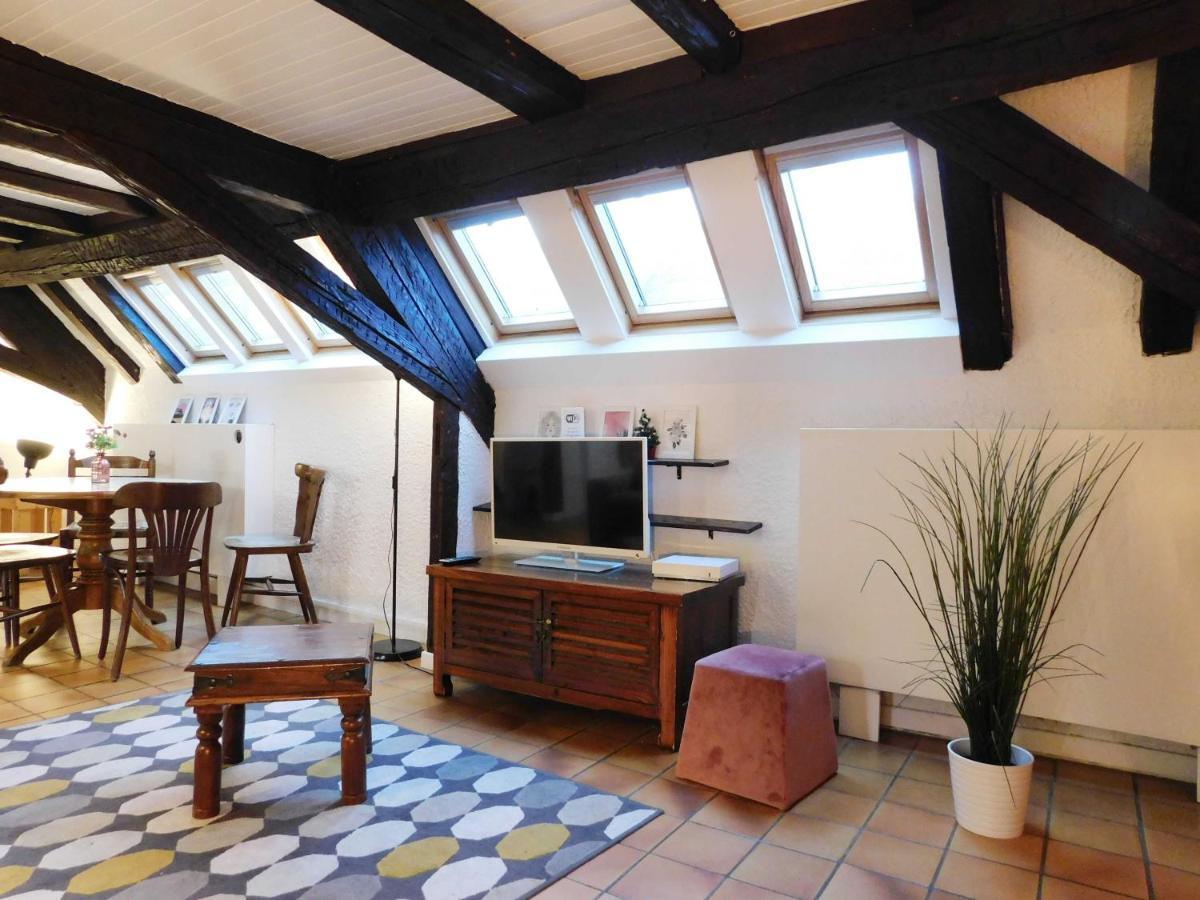 Appartement Typique Et Cosy A Deux Pas De La Cathedrale สตราสบูร์ก ภายนอก รูปภาพ